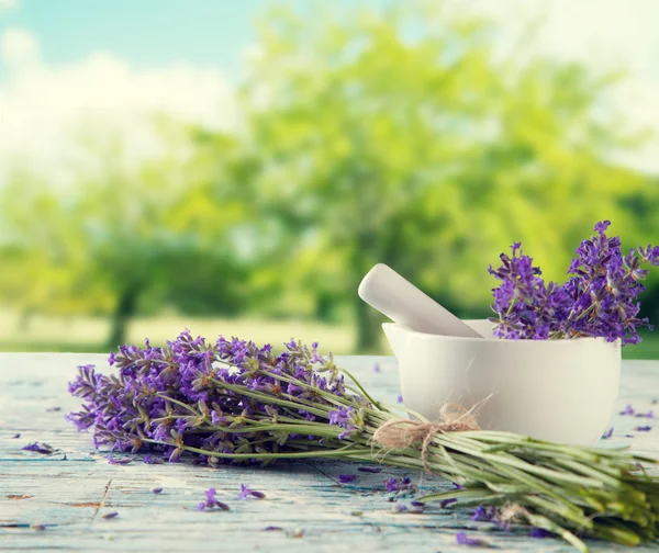 Lavanda ainda vida com campo de borrão no fundo — Fotografia de Stock