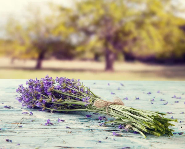 Lavendelstilleben mit verschwommenem Feld auf Hintergrund — Stockfoto