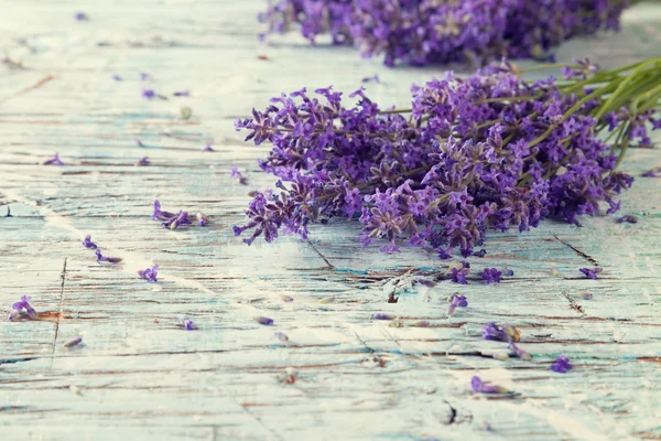 Fresh lavender on wood — Stock Photo, Image