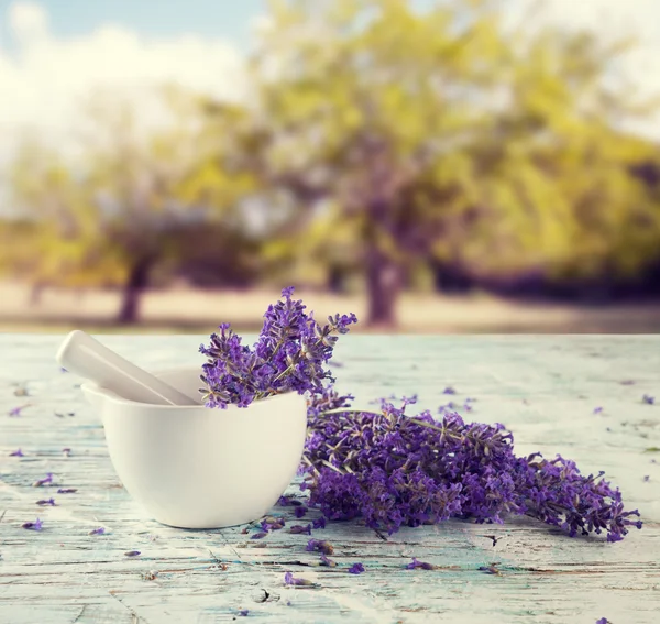 Lavendel Stilleben med oskärpa fältet på bakgrund — Stockfoto