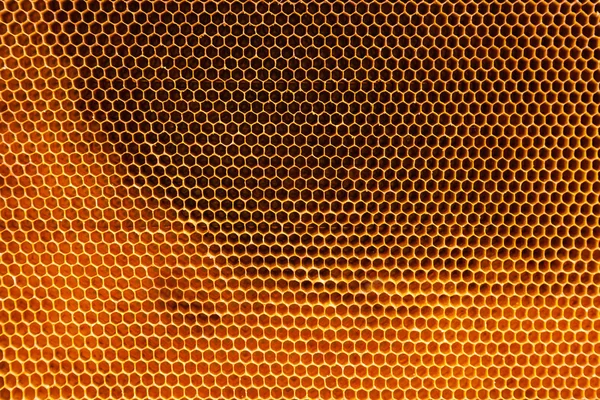 Texture nid d'abeille — Photo