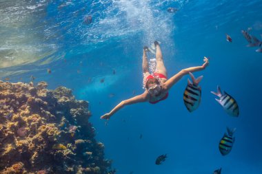 Mercan keşfetmek Freediver kadın