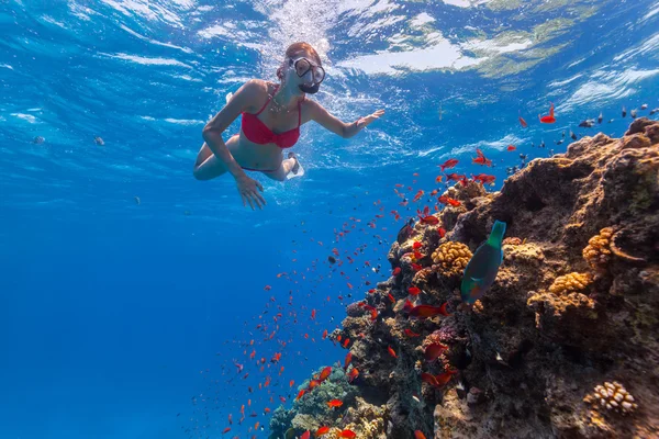 Volný potápěč žena zkoumá korálový — Stock fotografie