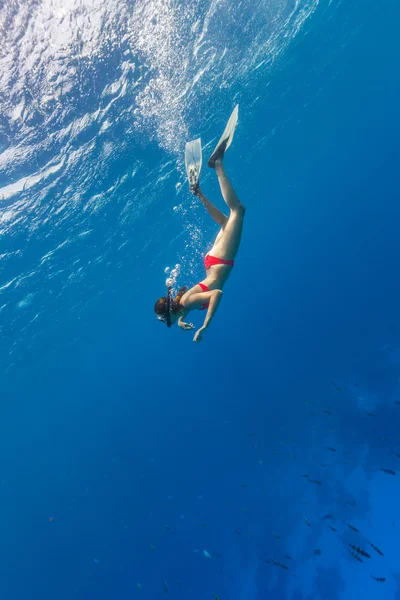 Volný potápěč sestupuje do modré vody — Stock fotografie