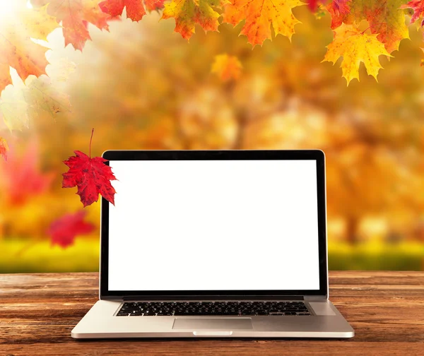 Laptop na drewnianym stole w jesieni — Zdjęcie stockowe