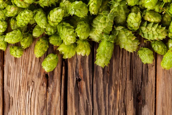 Fresh green hops on wooden desk — Stock Photo, Image