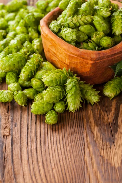 Houblon vert frais sur bureau en bois — Photo