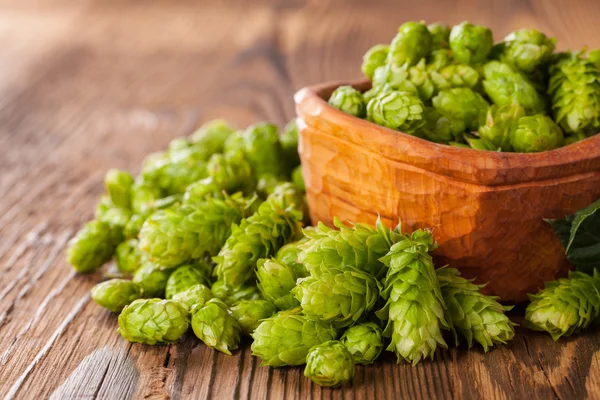 Fresh green hops on wooden desk — Stock Photo, Image