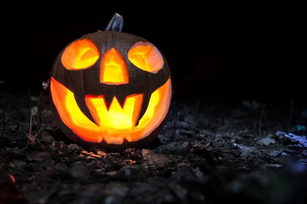 Halloween pumpa i en skog på natten — Stockfoto