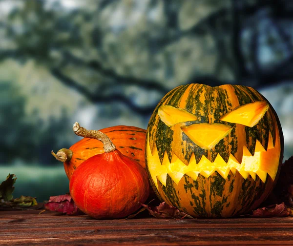 Halloween dýně na Dřevěná prkna — Stock fotografie