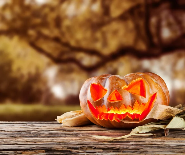 Halloween dýně na Dřevěná prkna — Stock fotografie