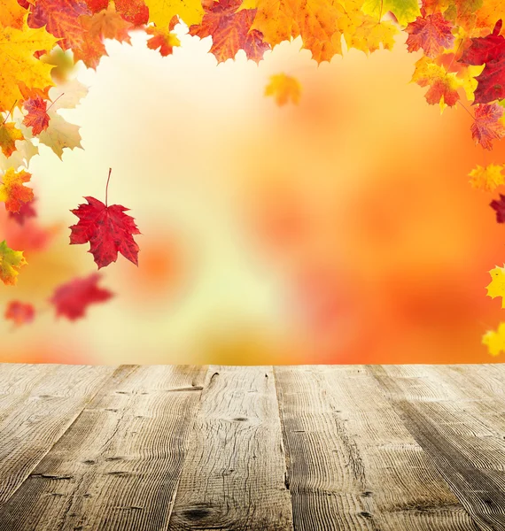 Autumn leaves background — Stock Photo, Image