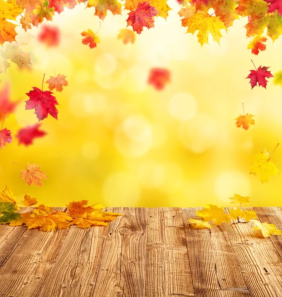 Sfondo autunno — Foto Stock