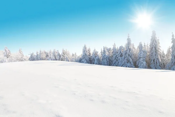 Téli havas táj — Stock Fotó