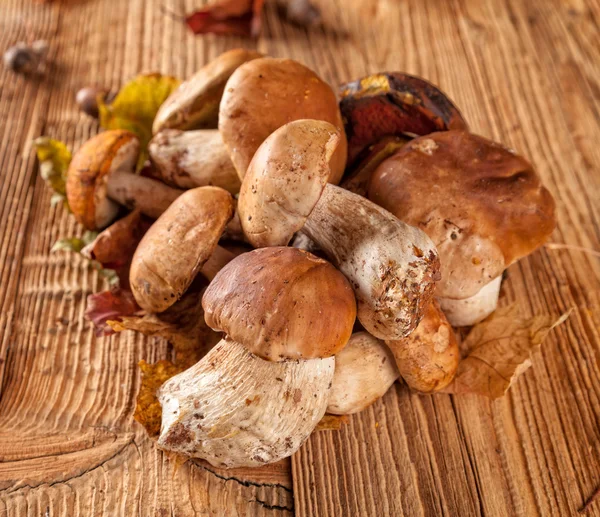 Mushroom served on wooden planks — Stock Photo, Image