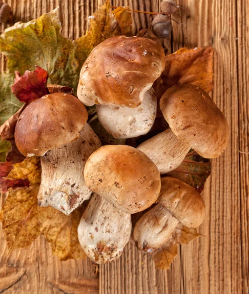 Mushroom served on wooden planks — Stock Photo, Image