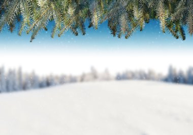 Winter landscape with fir branches clipart