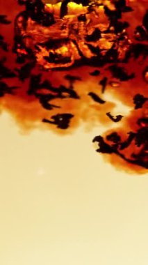 Kasırga şeklinde suya siyah çay dökmek çok yavaş bir hareket. Yüksek hızlı sinema kamerasıyla çekildi, 1000fps. Dikey görünüm oranı.