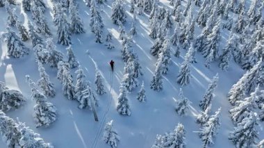 Kış ladin ormanını geçen kayak yapan adamın hava manzarası, taze kar. Güneşli bir gün, kış sporu aktivitesi.