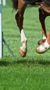 At Bacakları Detaylı Koşan Atların Süper Yavaş Hareketi. High Speed Cinema Camera 'da çekildi, 1000 fps. Açık hava yarışı. Dikey Görünüm Oranı.