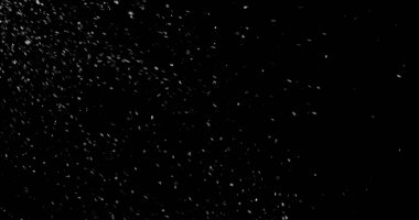 Düşen kar taneleri siyah arka planda izole edilmiş. Kış kar ocağı