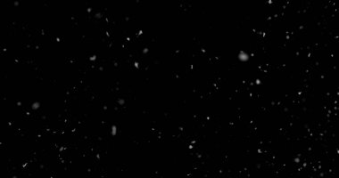 Düşen kar taneleri siyah arka planda izole edilmiş. Kış kar ocağı