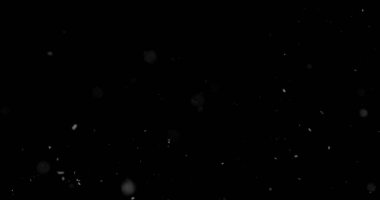 Düşen kar taneleri siyah arka planda izole edilmiş. Kış kar ocağı