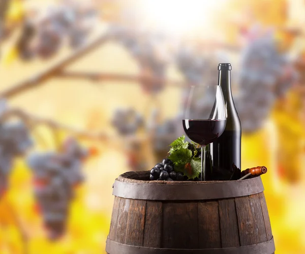 Botella de vino tinto y copa en barril de wodden —  Fotos de Stock