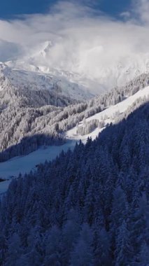 Avusturya 'daki karlı dağların sabah sisinin içinden yükselen bir buzulla görüntüsü. Mavi gökyüzü, güneş ışığı ve ön plandaki kozalaklı ormanlar huzurlu bir kış ortamı yaratır..