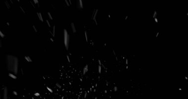 Düşen kar taneleri siyah arka planda izole edilmiş. VFX, kompozitasyon, hareket grafikleri ve atmosferik etkiler için kış karı dokusu örtüyor
