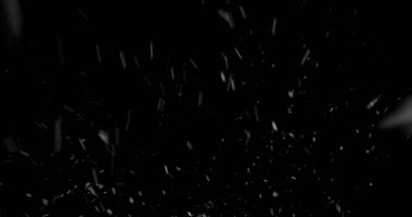 Düşen kar taneleri siyah arka planda izole edilmiş. VFX, kompozitasyon, hareket grafikleri ve atmosferik etkiler için kış karı dokusu örtüyor