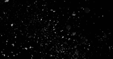 Düşen kar taneleri siyah arka planda izole edilmiş. VFX, kompozitasyon, hareket grafikleri ve atmosferik etkiler için kış karı dokusu örtüyor