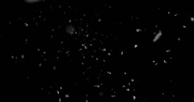 Düşen kar taneleri siyah arka planda izole edilmiş. VFX, kompozitasyon, hareket grafikleri ve atmosferik etkiler için kış karı dokusu örtüyor