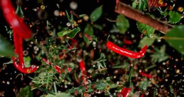 Aromatik baharatlar, otlar ve kırmızı biberler 1000 fps 'de ağır çekimde düşüyor. Değişken parçacıklar ve canlı renkler dramatik mutfak efektleri için siyah üzerine izole edilmiş..