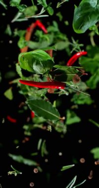 Bitki yaprakları ve kırmızı biberler 1000 fp hızla ultra yavaş çekimde düşüyor. Dramatik mutfak etkileri için siyah üzerine izole edilmiş yüzen parçacıklar. Dikey görünüm oranı.