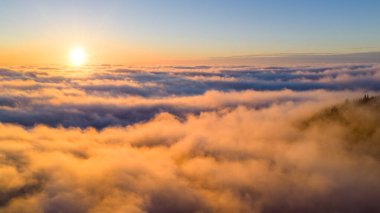 Yumuşak Pastel Sis ve Karanlık Çam Siluetleri, Yüksek Çözünürlükteki Panoramik Manzara, Büyük Duvar Sanatı Baskıları İçin Atmosferik Doğa Sahnesi İdeal