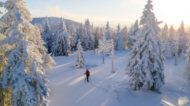 Kayak dağcısı gün doğumunda karla kaplı bir ormanda yürüyor. Altın ışık, donmuş ağaçları aydınlatıyor. Güçlü bir özgürlük ve yalnızlık duygusu ile huzurlu bir kış macerası sahnesi yaratıyor..