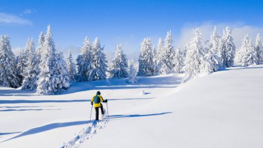 Snowshoe hiker walking through a wide snow-covered winter landscape with frosted evergreen trees under a clear blue sky. Peaceful alpine scenery expressing solitude, freedom, and untouched nature.