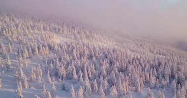 Karla kaplı ormanlar, yuvarlanan tepeler ve gün doğumunda alçak bulutlar üzerinde yumuşak bir uçuş. Yumuşak pastel gökyüzü ve sisli huzurlu dağlık arazi.