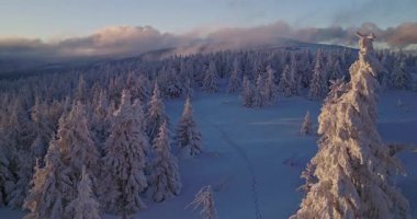 Karla kaplı ormanlar, yuvarlanan tepeler ve gün doğumunda alçak bulutlar üzerinde yumuşak bir uçuş. Yumuşak pastel gökyüzü ve sisli huzurlu dağlık arazi.