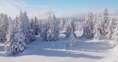 Karla kaplı ormanlar, yuvarlanan tepeler ve gün doğumunda alçak bulutlar üzerinde yumuşak bir uçuş. Yumuşak pastel gökyüzü ve sisli huzurlu dağlık arazi.