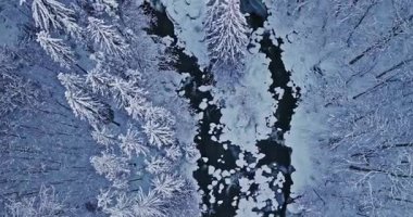 Karla kaplı bir alp deresinin üzerinde huzurlu bir uçuş. Akan buzlu su, donmuş kayalar ve taze kar dinlenme, meditasyon ve doğa görselleri için ideal bir kış atmosferi yaratır..