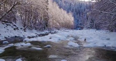 Karla kaplı bir alp deresinin üzerinde huzurlu bir uçuş. Akan buzlu su, donmuş kayalar ve taze kar dinlenme, meditasyon ve doğa görselleri için ideal bir kış atmosferi yaratır..