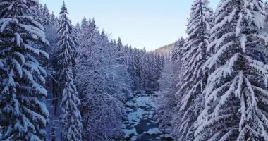 Karla kaplı bir alp deresinin üzerinde huzurlu bir uçuş. Akan buzlu su, donmuş kayalar ve taze kar dinlenme, meditasyon ve doğa görselleri için ideal bir kış atmosferi yaratır..