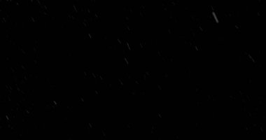 Saf Kara Arkaplanda Yakalanmış Gerçekçi Kar Dondurucu Hareketi. Kış Atmosferleri ve Görsel Efektler için VFX ya da Birleşik Kaplama Olarak Mükemmel.