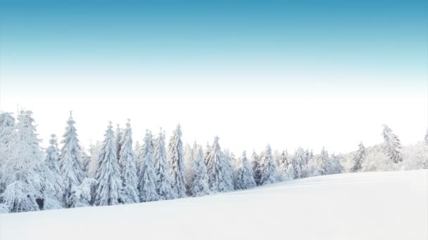 冬の雪景色 — ストック動画