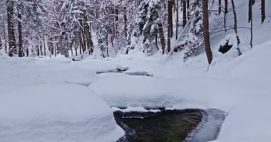 Karla kaplı bir orman deresinin üzerinde huzurlu bir uçuş. Akan buzlu su, donmuş kayalar ve taze kar dinlenme, meditasyon ve doğa görselleri için ideal bir kış atmosferi yaratır..