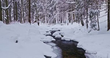 Karla kaplı bir orman deresinin üzerinde huzurlu bir uçuş. Akan buzlu su, donmuş kayalar ve taze kar dinlenme, meditasyon ve doğa görselleri için ideal bir kış atmosferi yaratır..
