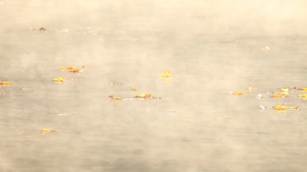 Salida del sol en otoño mañana lago superficie — Vídeos de Stock