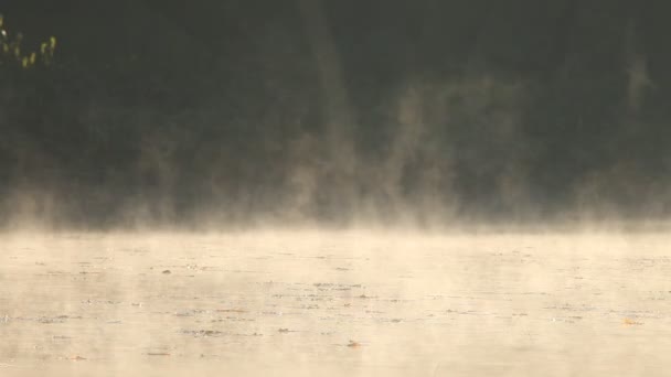 Salida del sol en otoño mañana lago superficie — Vídeo de stock